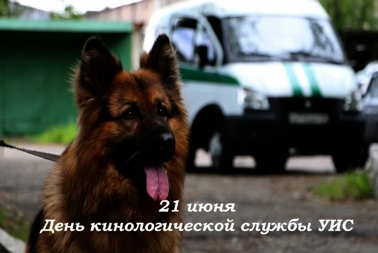 21 июня отмечается День кинологической службы уголовно-исполнительной системы РФ!

Сегодня мы поздра