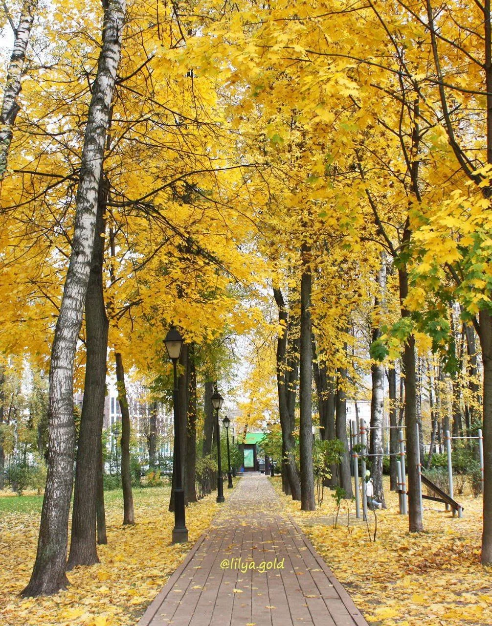 🌳 Бабушкинский парк