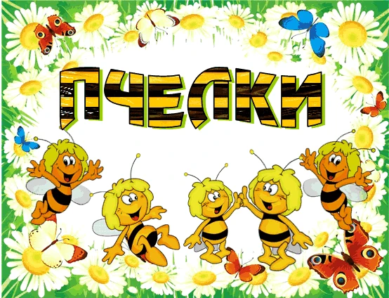 Привет из нашего пришкольного лагеря! 👋