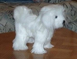 Собака