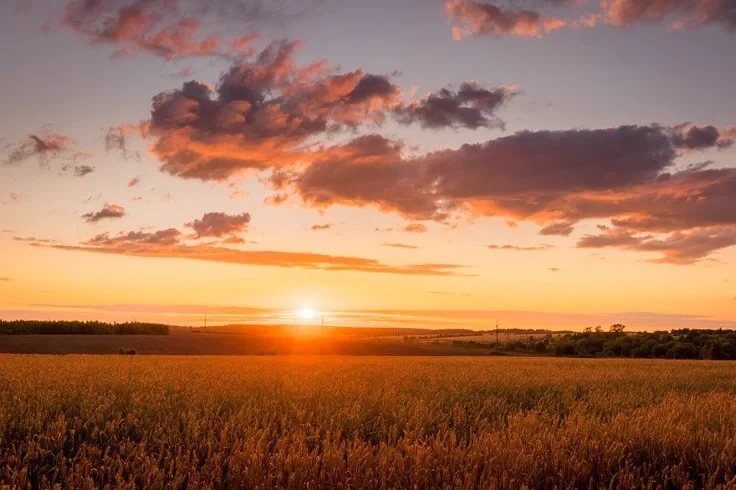 Почему летние закаты всегда ярче и красивее?

🌅 Красное солнце, фиолетовые облака, золотые отблески