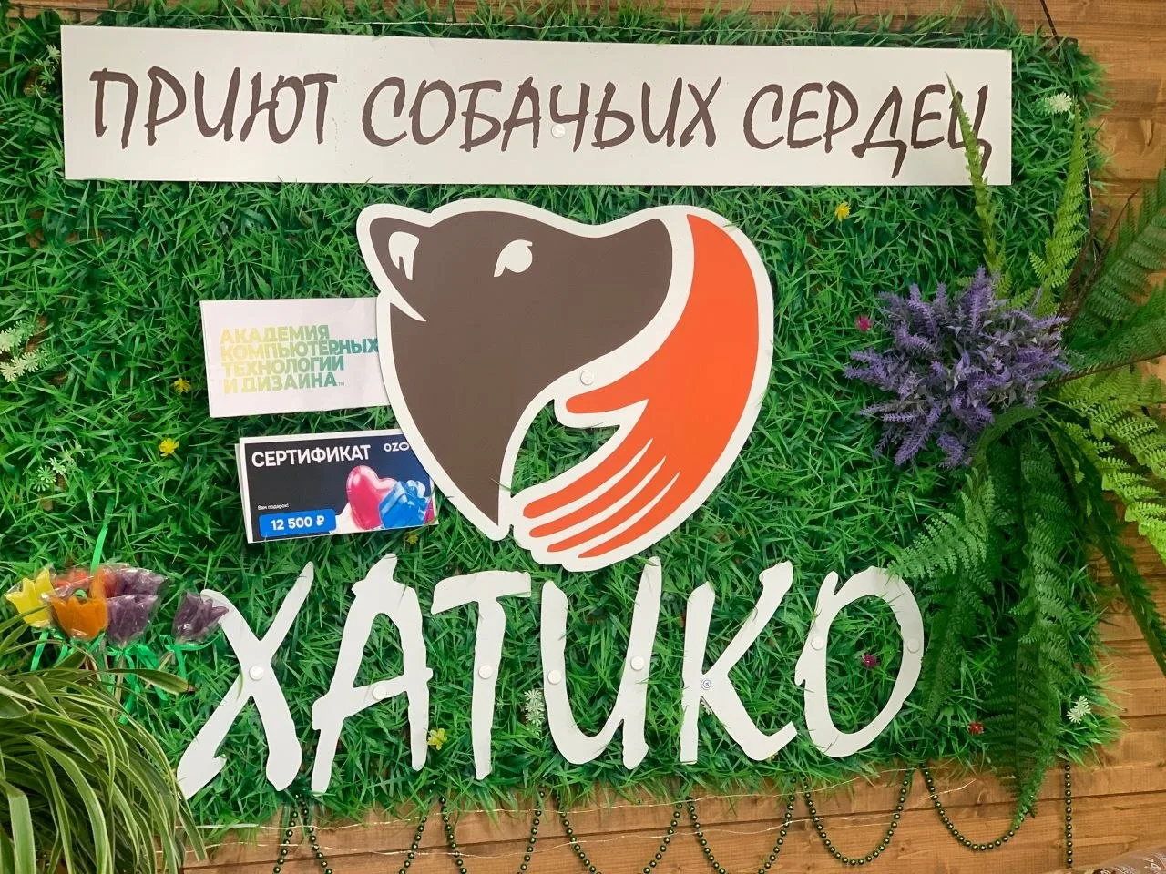 Благодарим «Академию компьютерных технологий и дизайна за сбор помощи в виде кормов,лек...