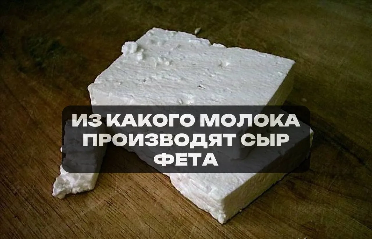 Коровье         🤟
Козье              👎
Верблюжье   👍
Овечье            👌

✅ Ответ на предыдущий 