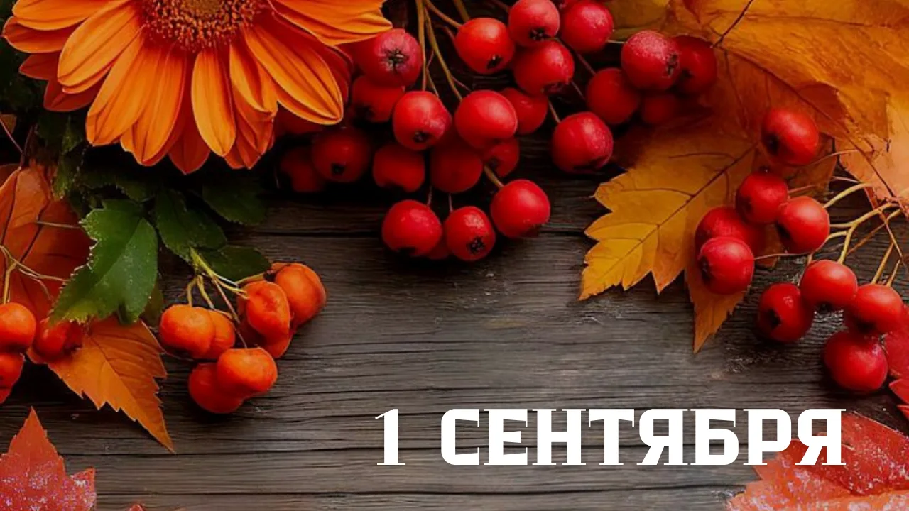 🎊1 сентября 2026 года отмечают: