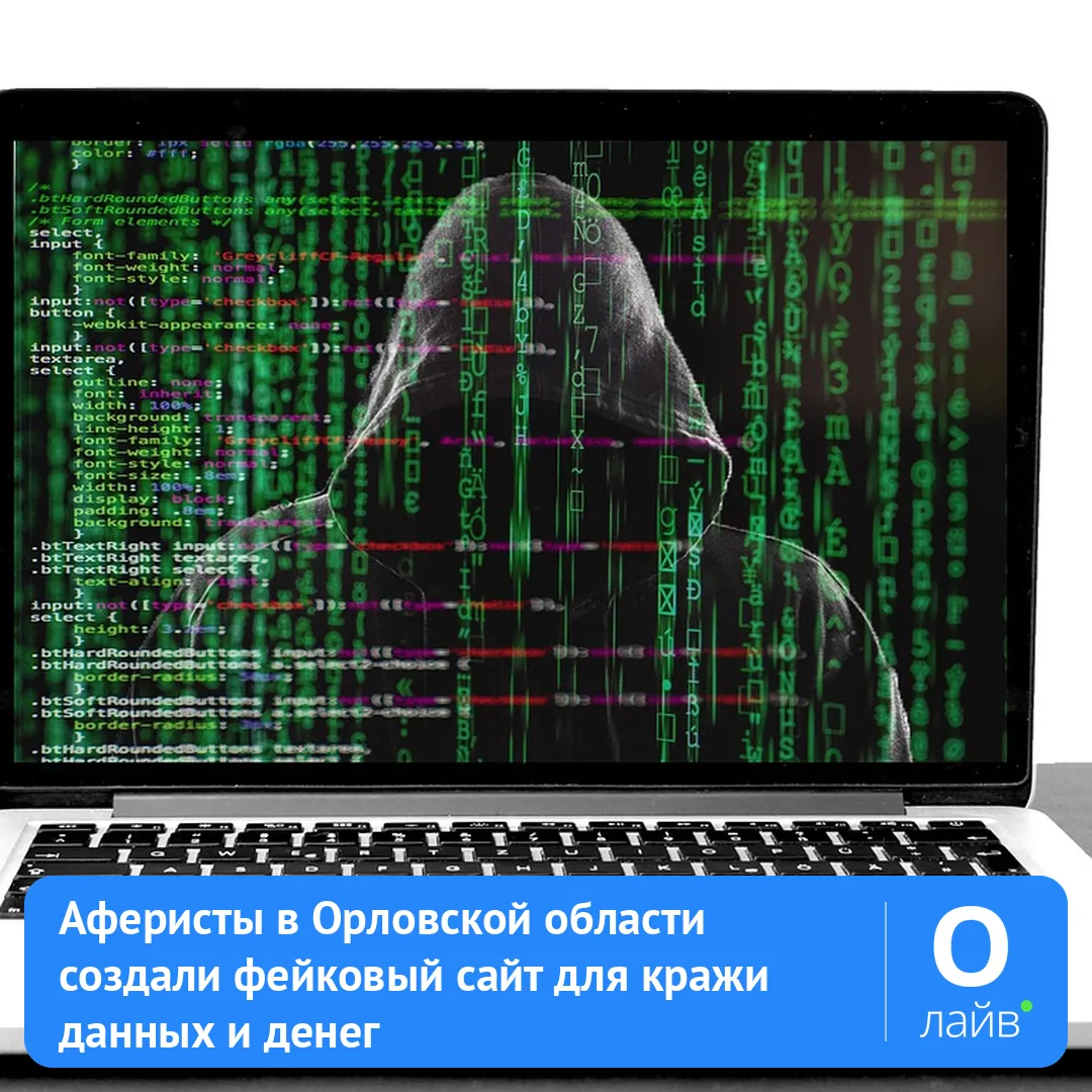 🛑 Аферисты в Орловской области создали фейковый сайт для кражи данных и денег