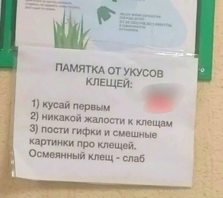 Активность клеща немного упала, но это не повод расслабляться

На фото представлены мероприятия по с