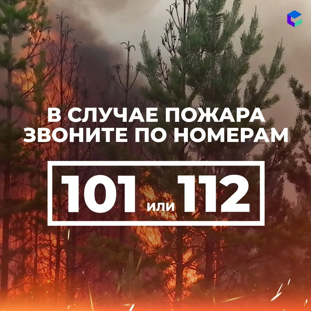 Один брошенный окурок или поджог сухой травы весной могут вызвать масштабный пожар🔥

Ветер разгоняе