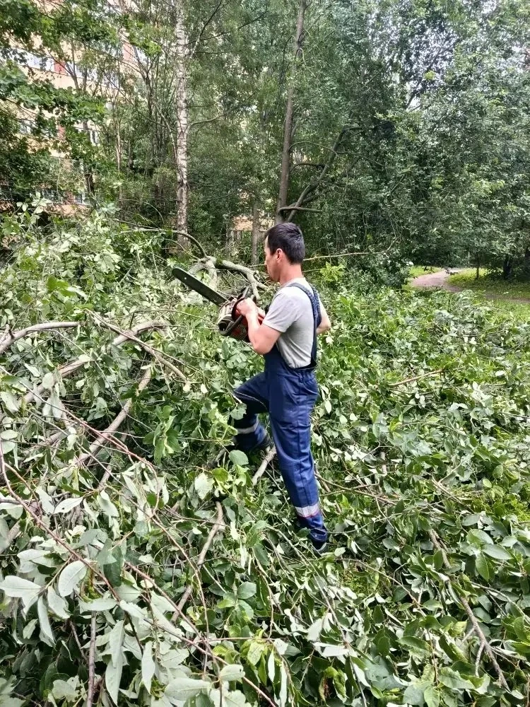 ⛈️Устраняем последствия непогоды
На этой неделе Петербург накрыли мощные ливни, грозы и шквалистый в