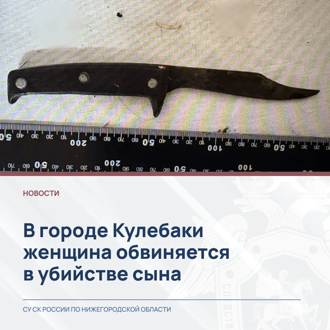 Следователем Выксунского межрайонного следственного отдела следственного управления СК ...