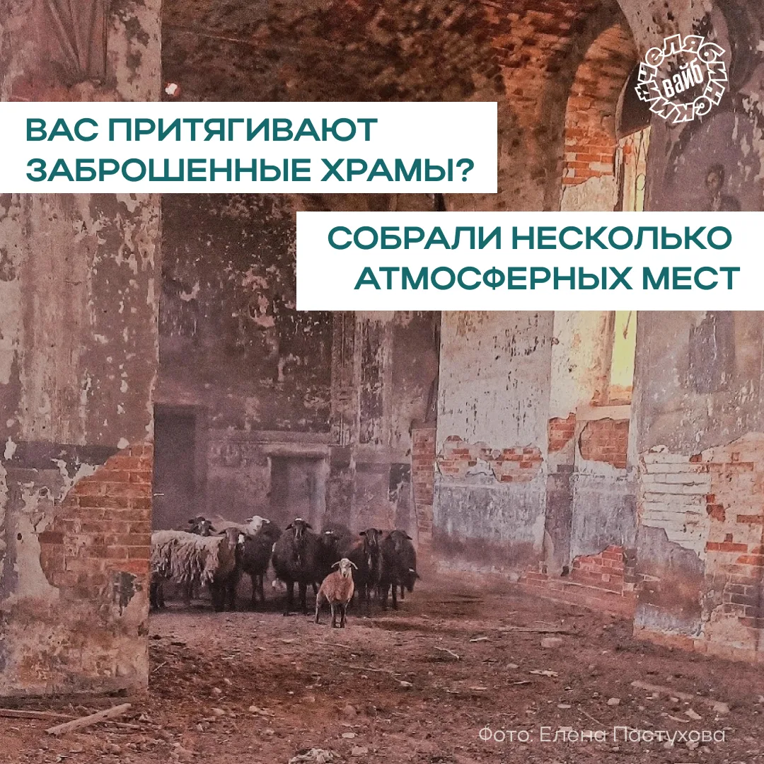 👁️ Такую подборку вы точно не ждали 

Тишина, старые стены, свет сквозь пустые окна. В Челябинской 