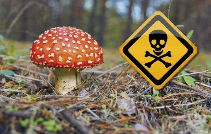 Уважаемые родители (законные представители)!