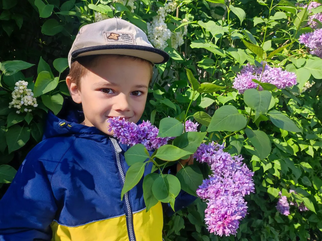 🌷Дети – цветы жизни,