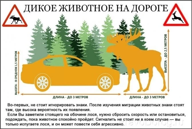 ‼️ Внимание! 22 июня 2026 года в 15:15 в единую дежурно-диспетчерскую службу Печенгского округа пост