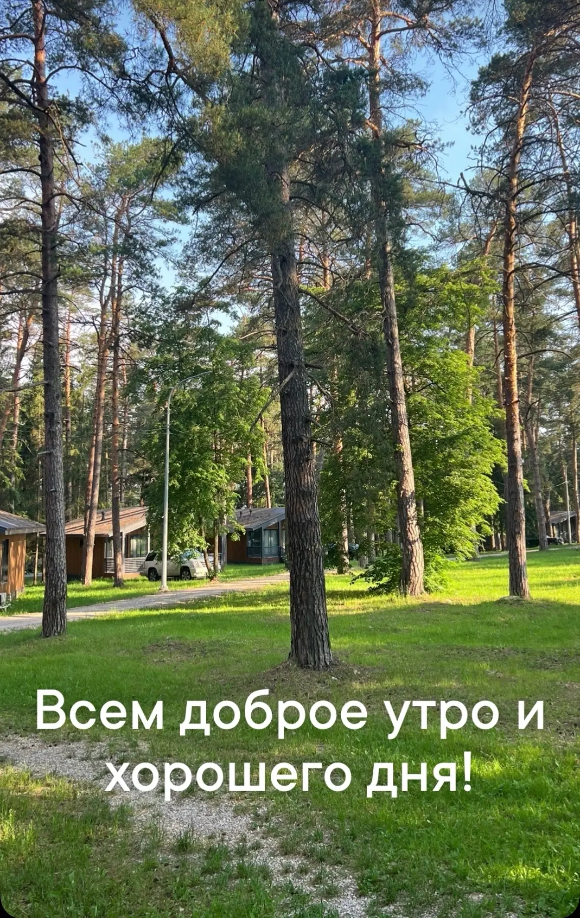 У нас в планах на сегодня две партии турнира, торжественное открытие и разбор партий с тренером. 

П