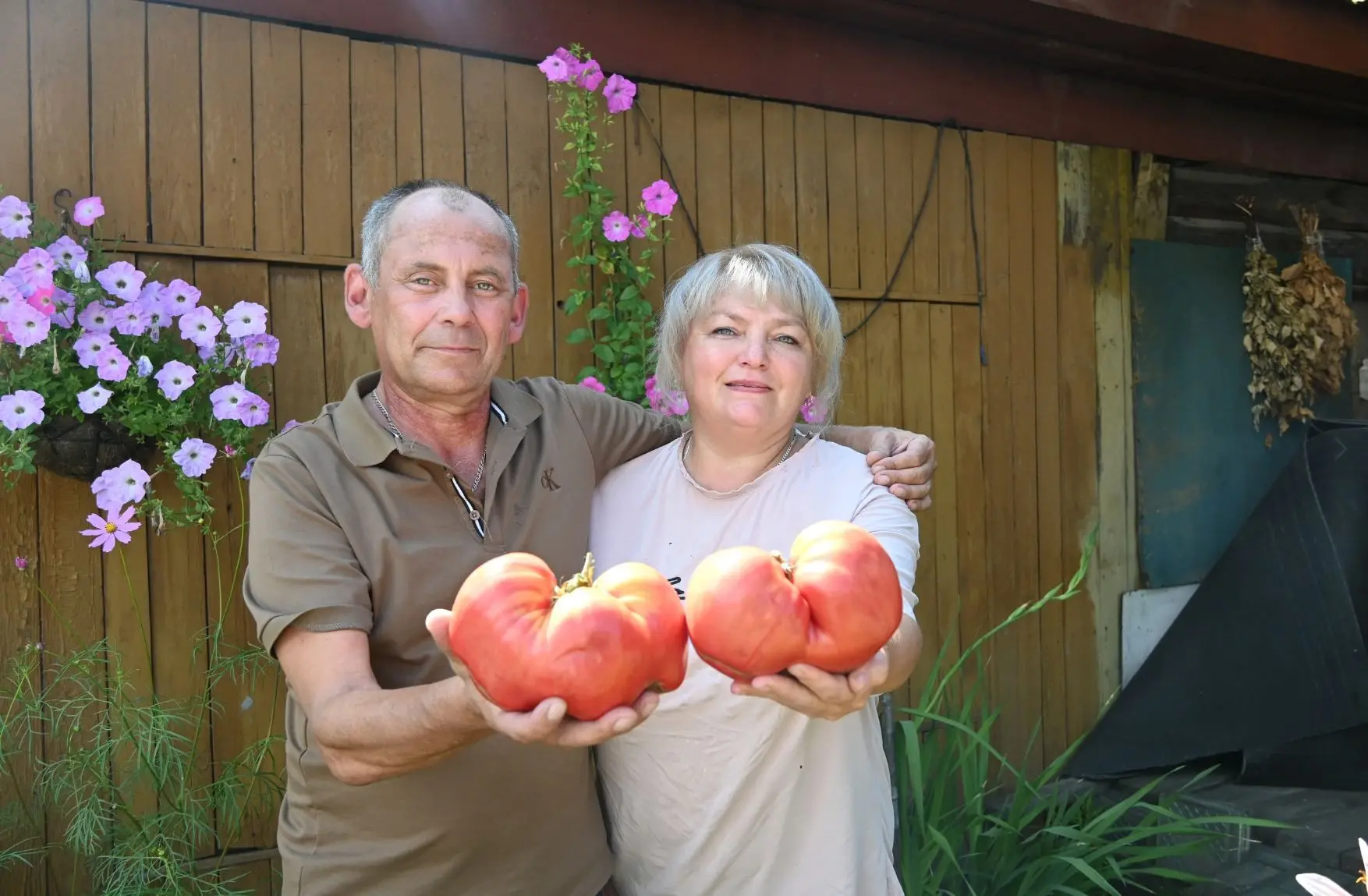 🍅 Друзья, впереди большой праздник – День Минусинского помидора!