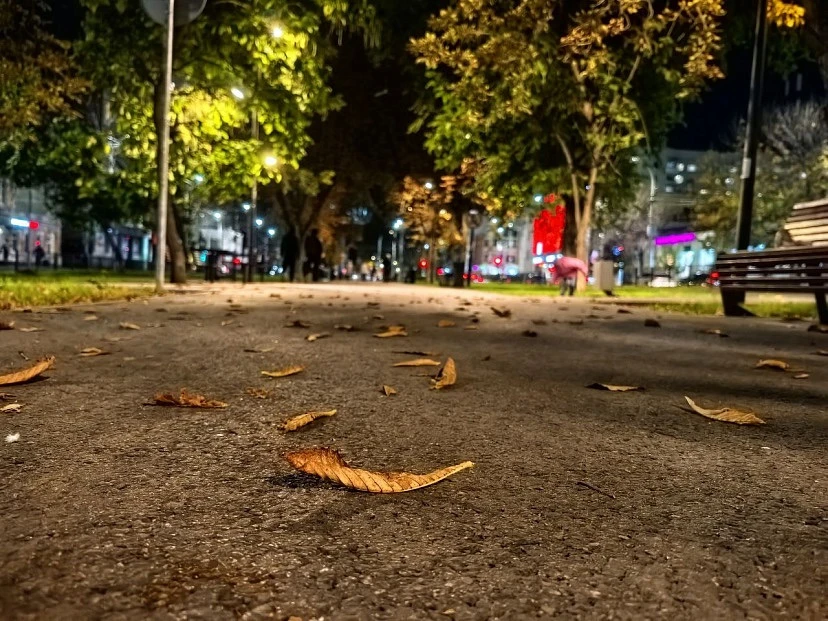 🥶В Саратовской области обещают дождь со снегом и заморозки до минус 3 градусов