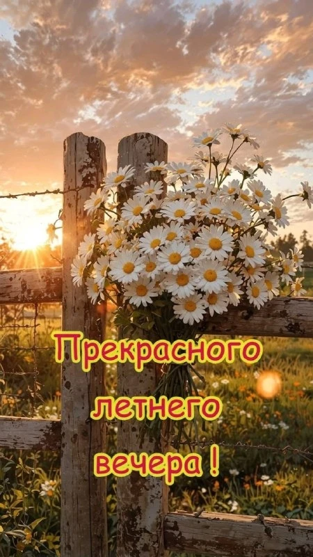 Открытки: подписаться ❤️