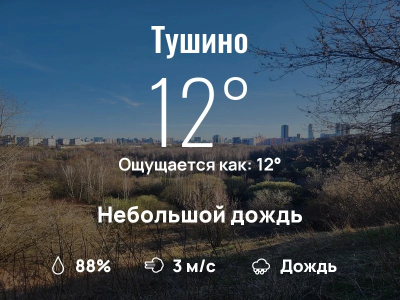 Что с погодой в Тушино?
