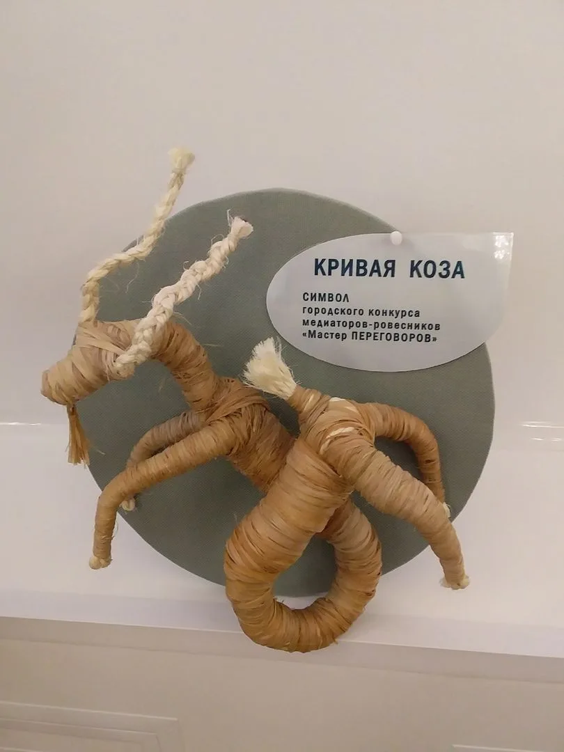 Свешникова София, ученица 9П класса, стала дипломантом городского конкурса медиаторов-ровесников "Ма