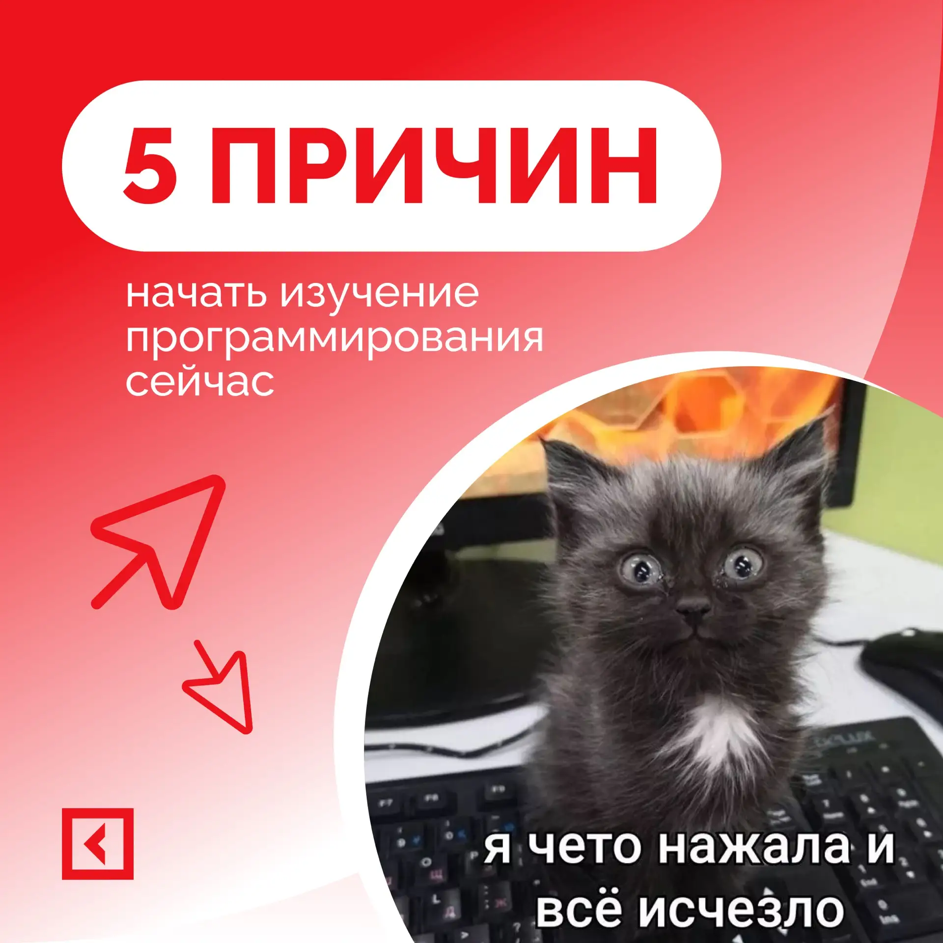 🚀 Почему сейчас — лучшее время, чтобы войти в ИТ? Вот 5 веских причин! 🚀