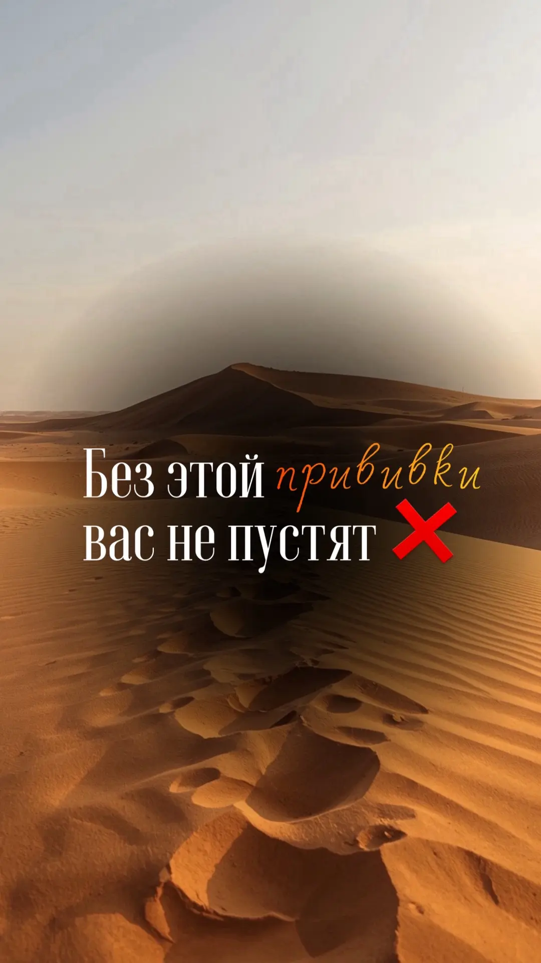 Хотя жёлтая лихорадка не встречается в России, при выезде в некоторые страны этот вопро...