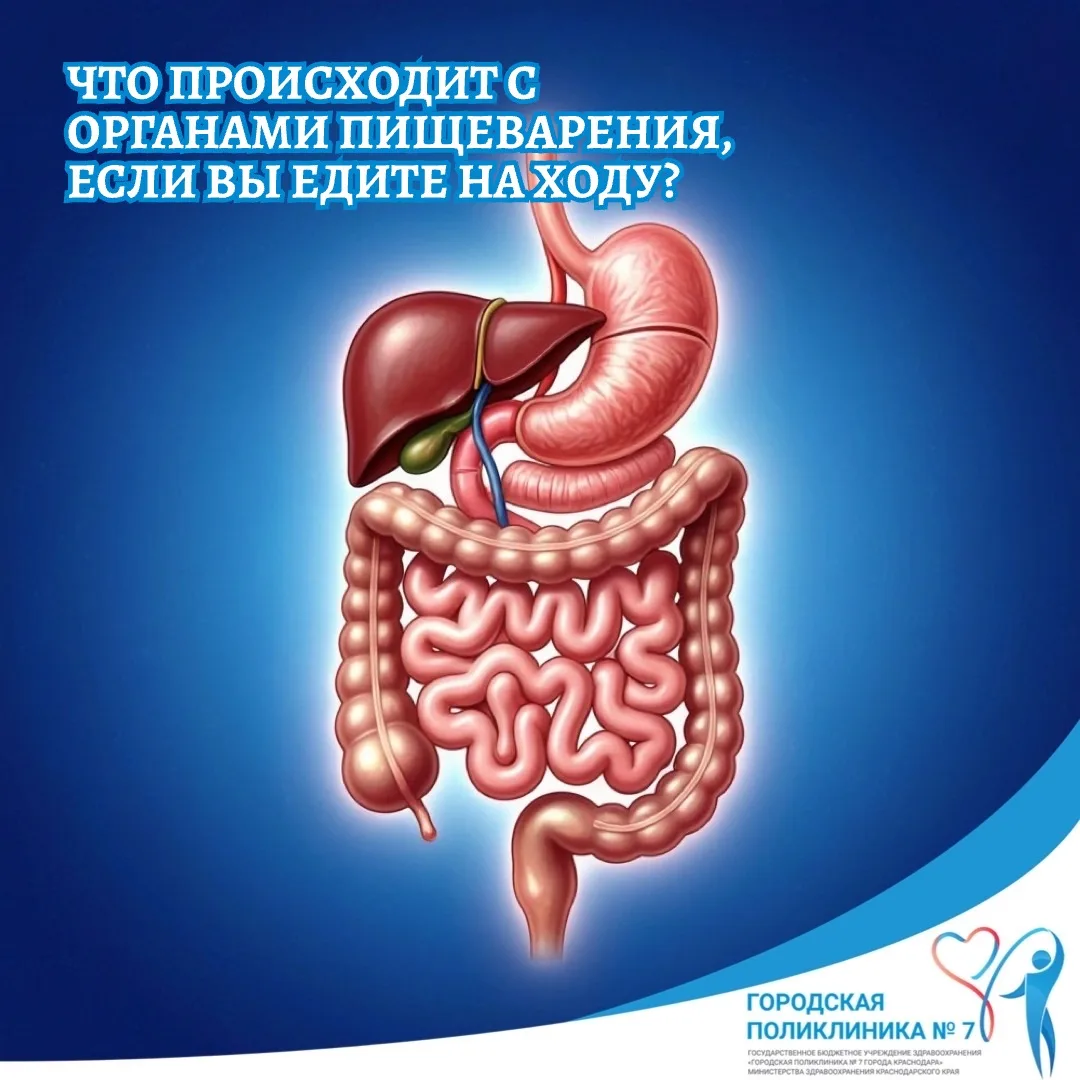 Когда вы едите быстро и в движении, мозг не успевает запустить пищеварение в полную сил...