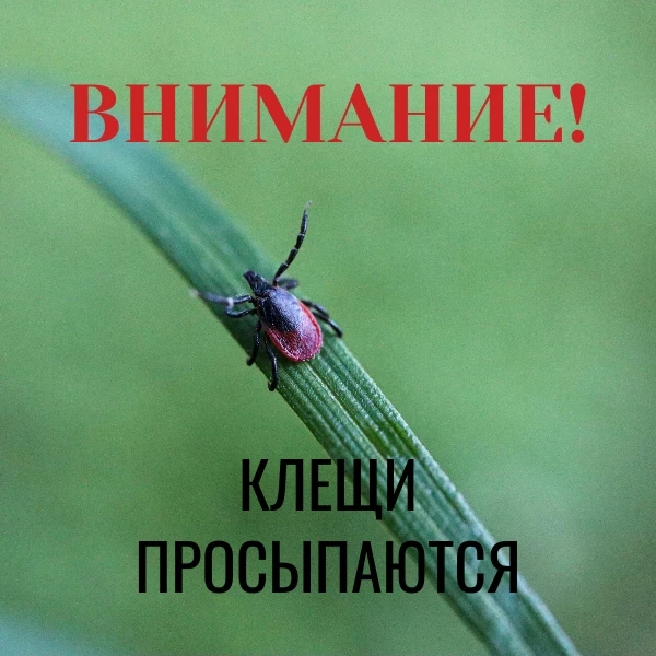 🌿 Весна пришла, но клещи не дремлют!