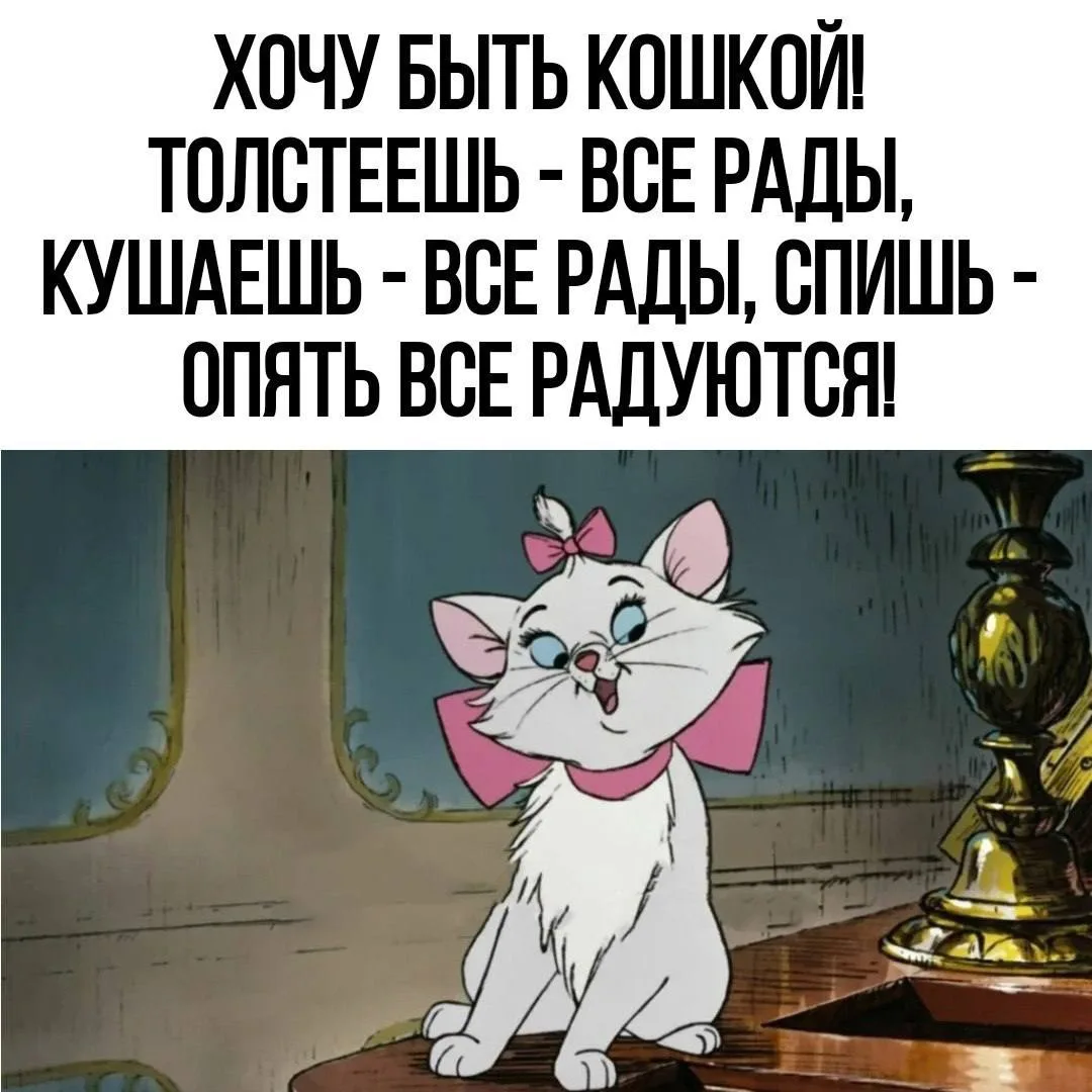 Первый Пенсионерский 

👉Выплаты и Льготы