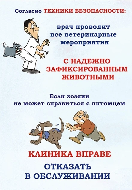 Фиксация животного 🐱🐶на приеме - обязанность владельца.