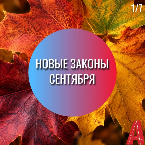 ✍️ Осень принесла с собой много законодательных инициатив, вступающих в силу.