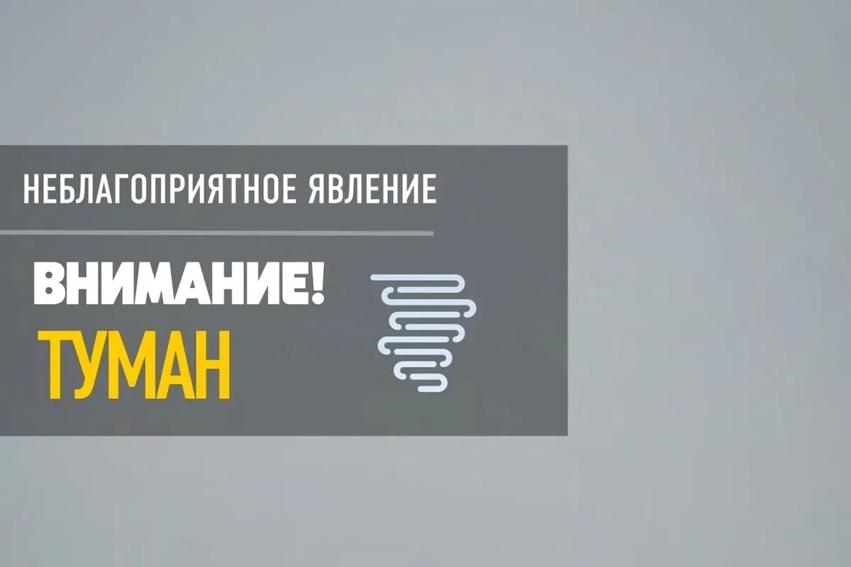 В Псковской области 3 октября ожидается туман с видимостью до 500 метров.