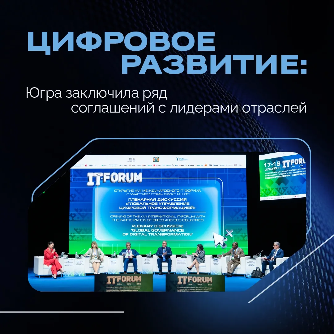 Контроль над беспилотниками, подготовка кадров в IT, создание центров обработки  и цифровизация орга