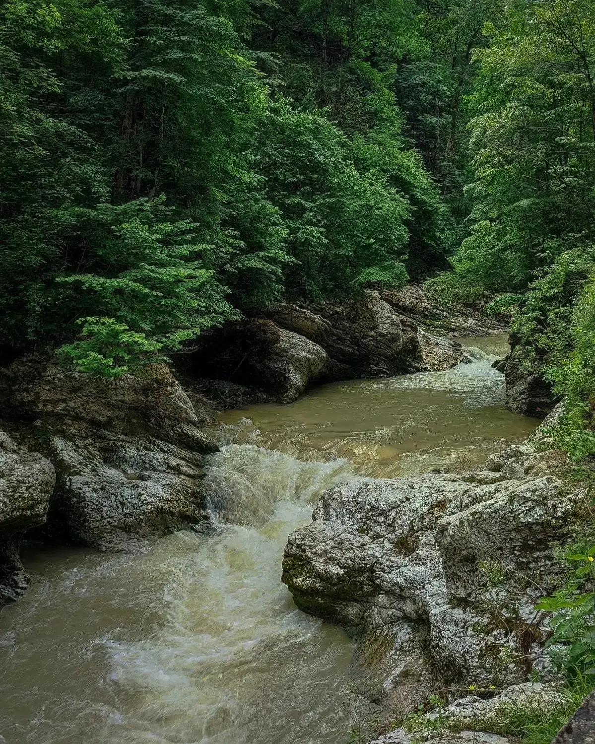 Разноцветные скалы, реликтовый лес и живописные водопады  Гуамское ущелье — одна из самых известных 