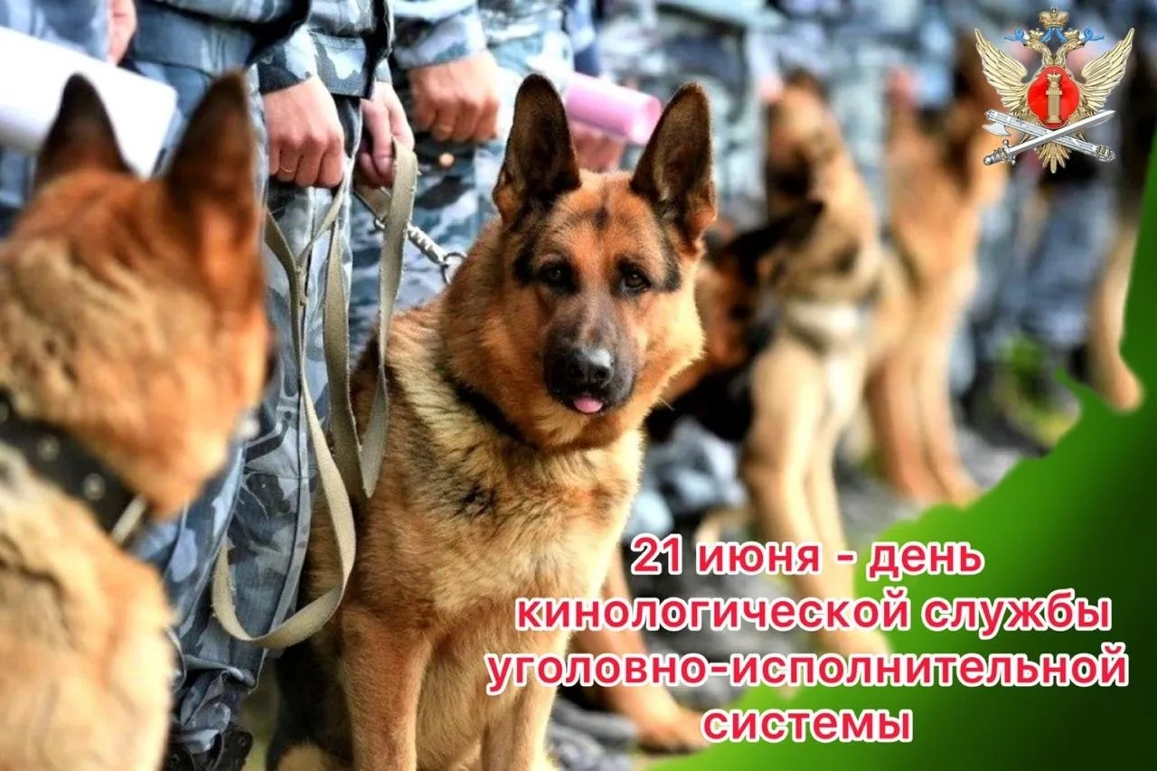 🐕🐾 Сегодня наши кинологи отмечают профессиональный праздник - кинологической службе УИС  исполняет