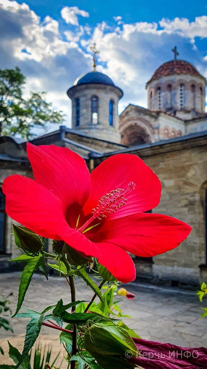 Утро было бы добрее, если бы наступало немного позже.