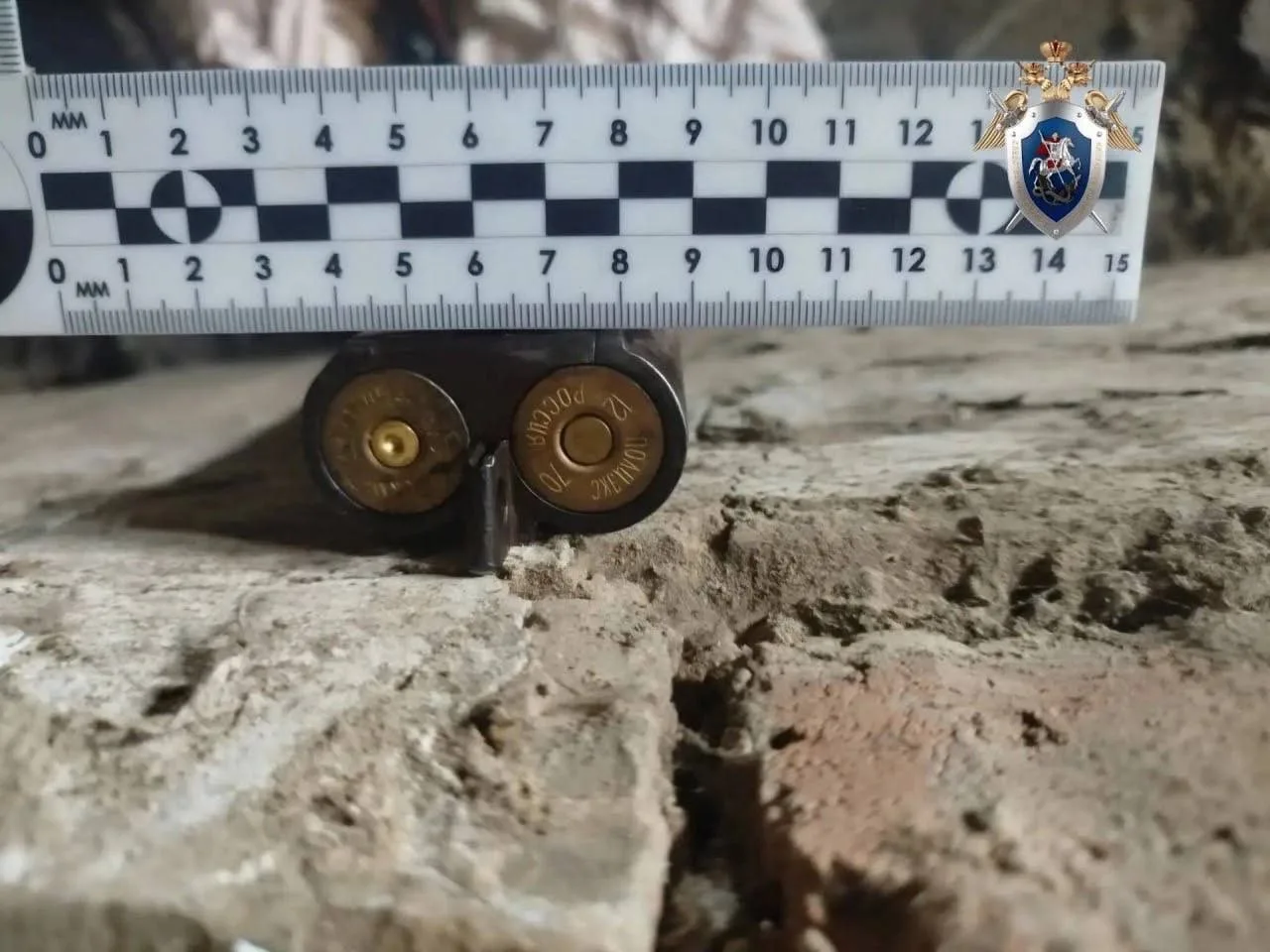 😱 Житель края выстрелил в лицо бывшей подруге из-за ревнивой возлюбленной    Вчера в посёлке Переясл