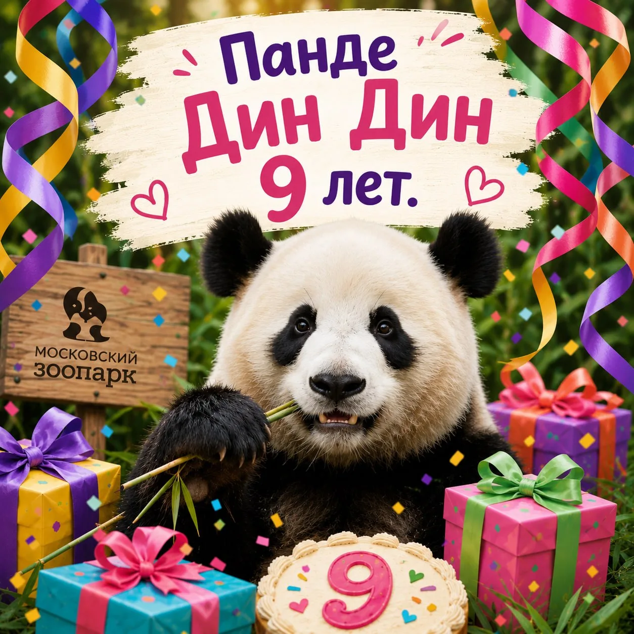 С днём рождения! Сегодня главной имениннице Московского зоопарка — панде Дин Дин — испо...