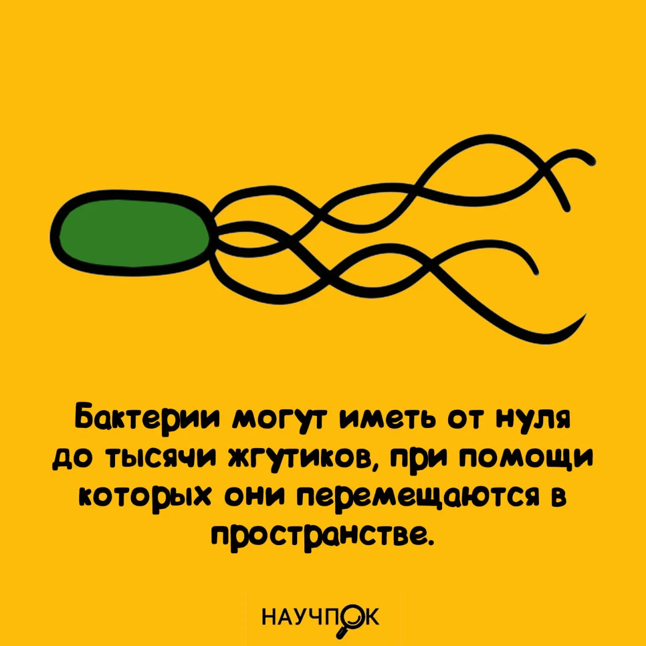 Научпок | Подписаться
