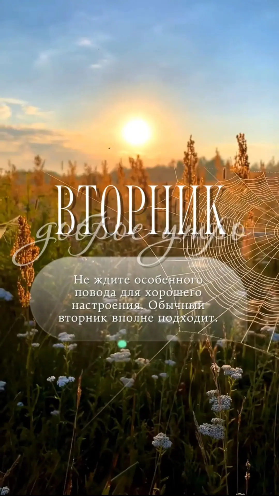 Не ждите особенного повода для хорошего настроения. Обычный вторник вполне подходит.