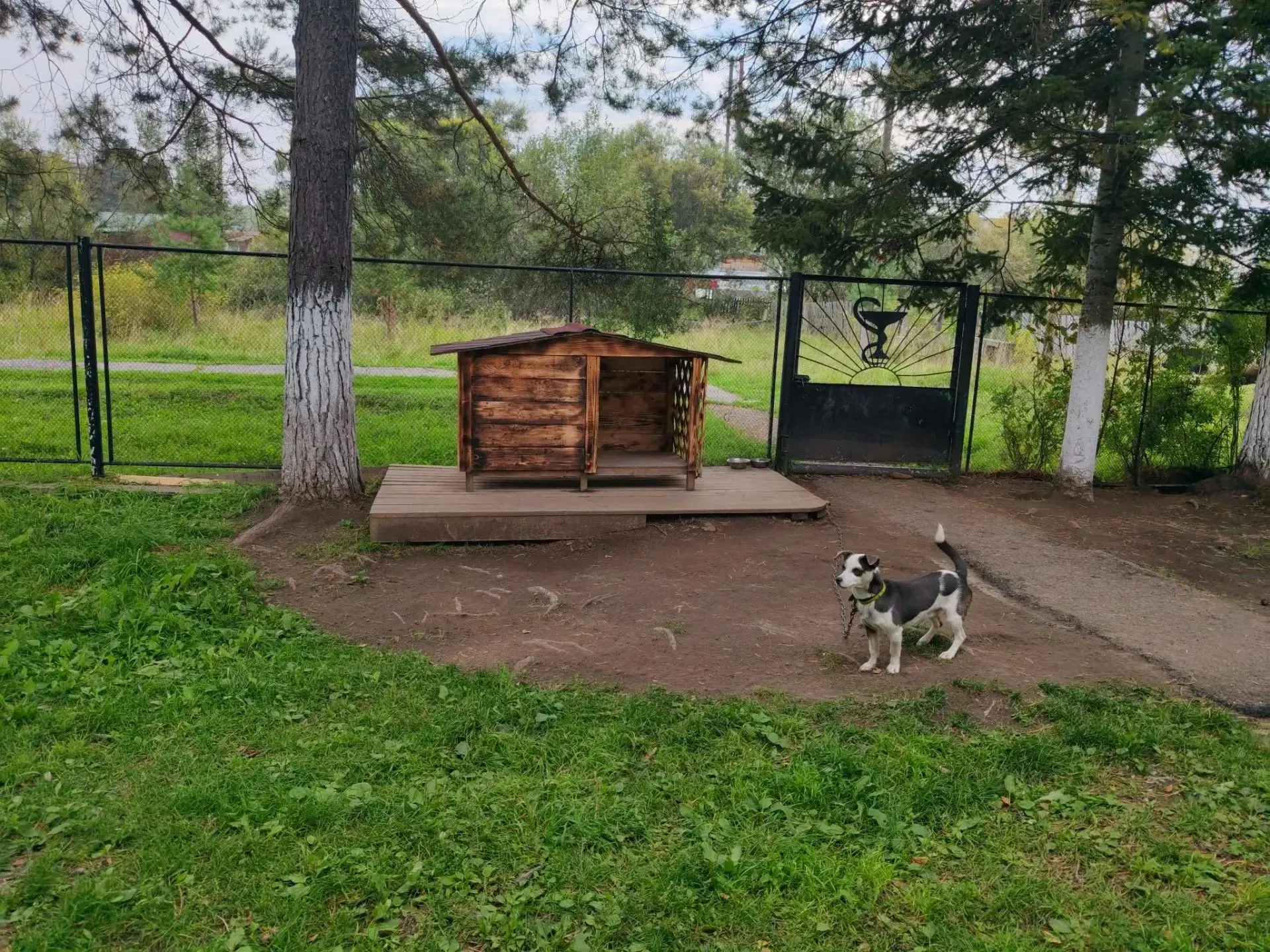Помните Ричи? 🐶 Настоящего друга для всех жителей и сотрудников дома социального обслу...