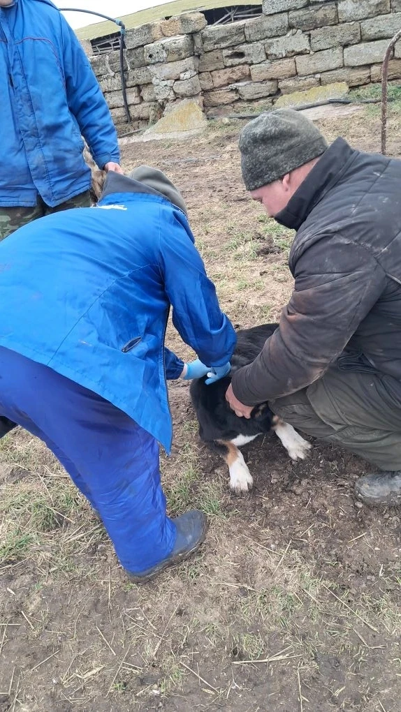 ✅Госветслужба Республики Крым в течение всего года проводит мероприятия по бесплатной в...