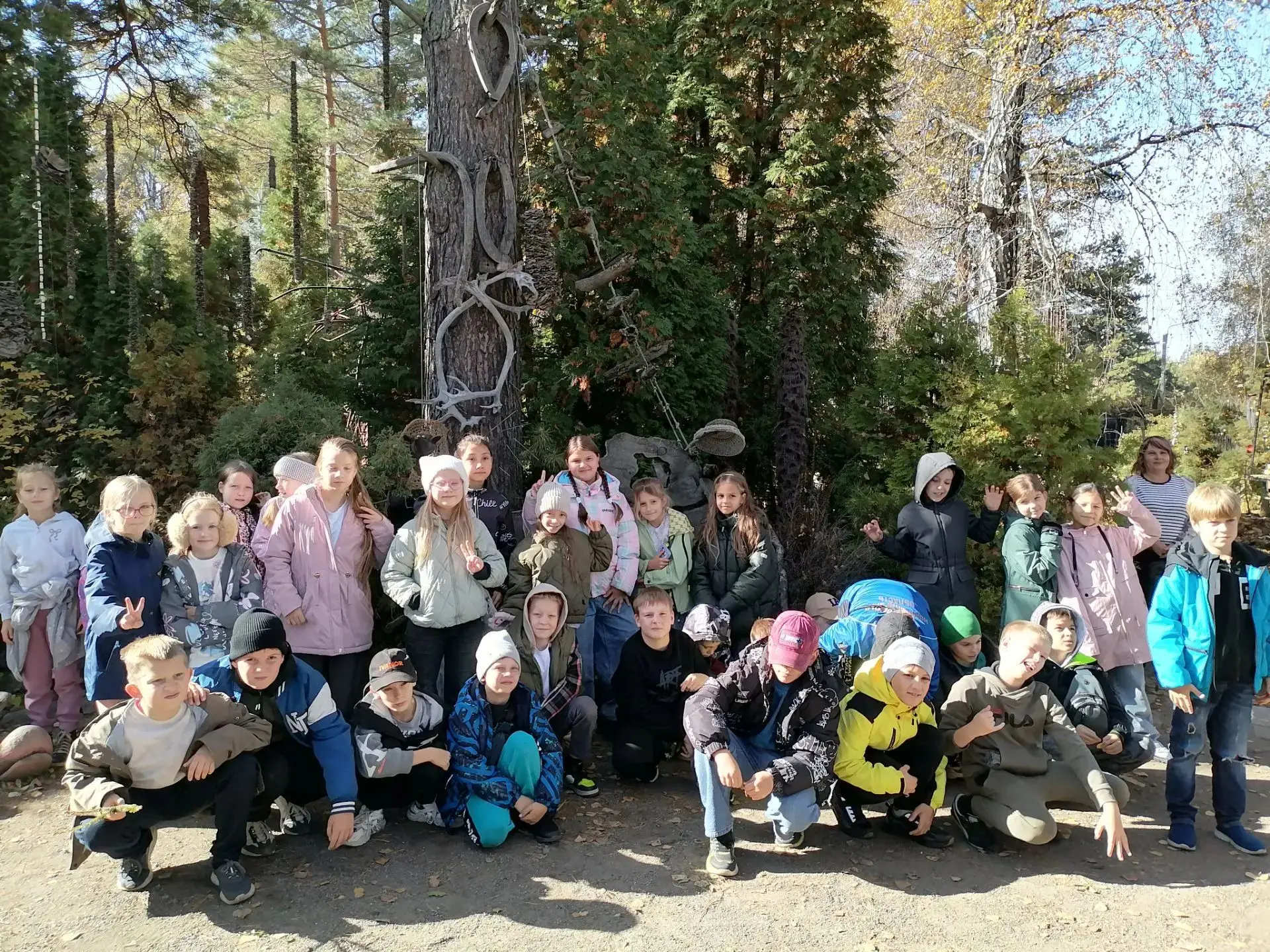 🌿 Волшебное путешествие в мир миниатюрных деревьев! 🌿