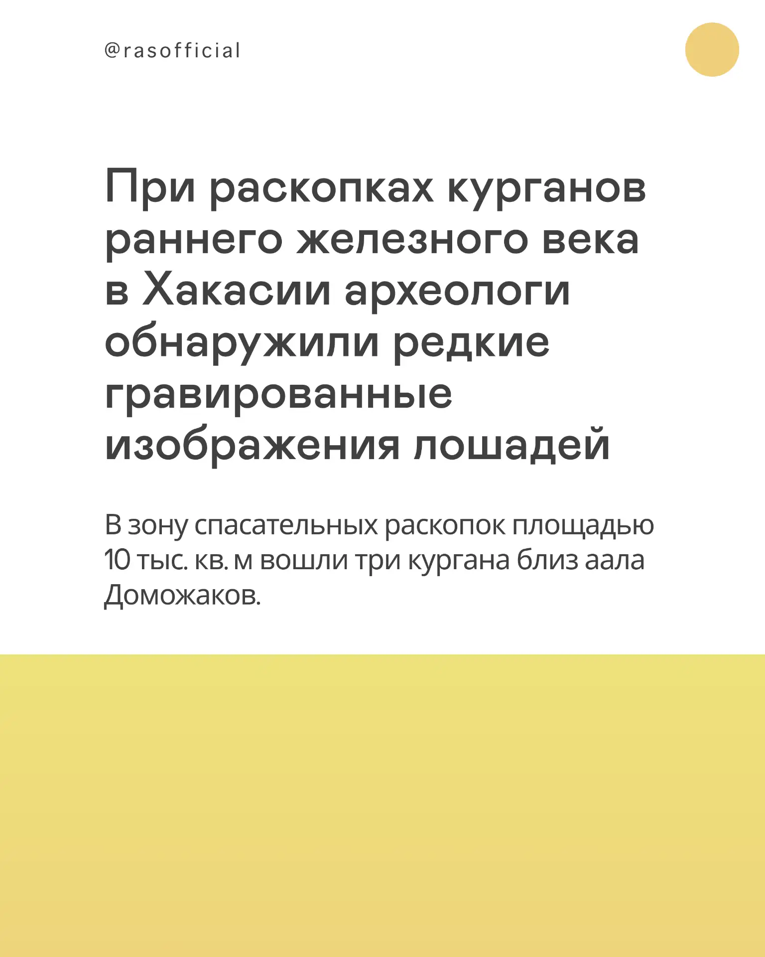 Найдены редкие гравированные изображения лошадей