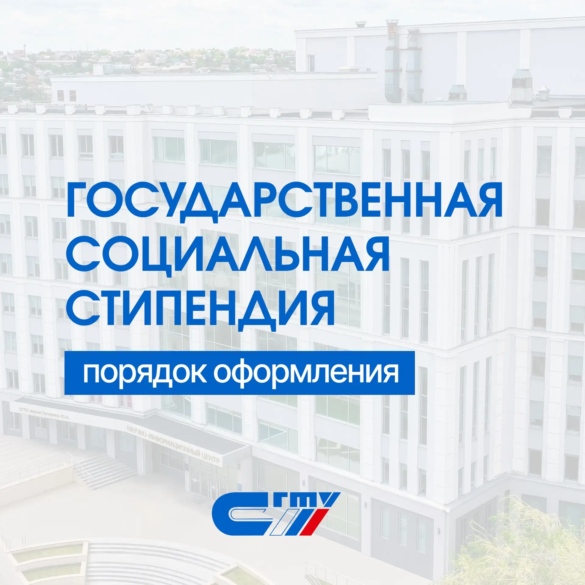 Социальная стипендия: что нужно знать 🎓