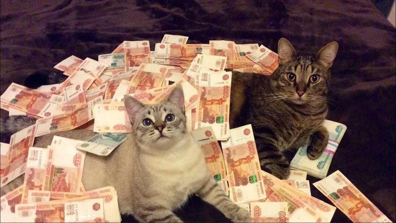 💰Средняя зарплата в Петербурге достигла 128,6 тыс. рублей