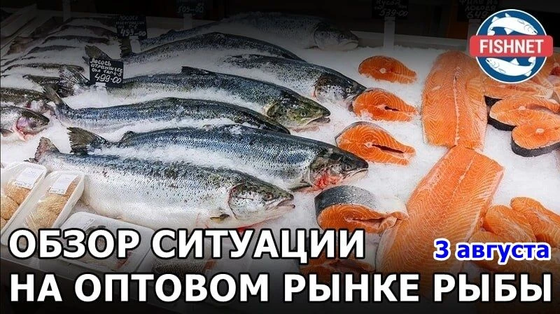 🐟 Еженедельный обзор ситуации на оптовом рынке рыбы (мониторинг 03.08.2026)
