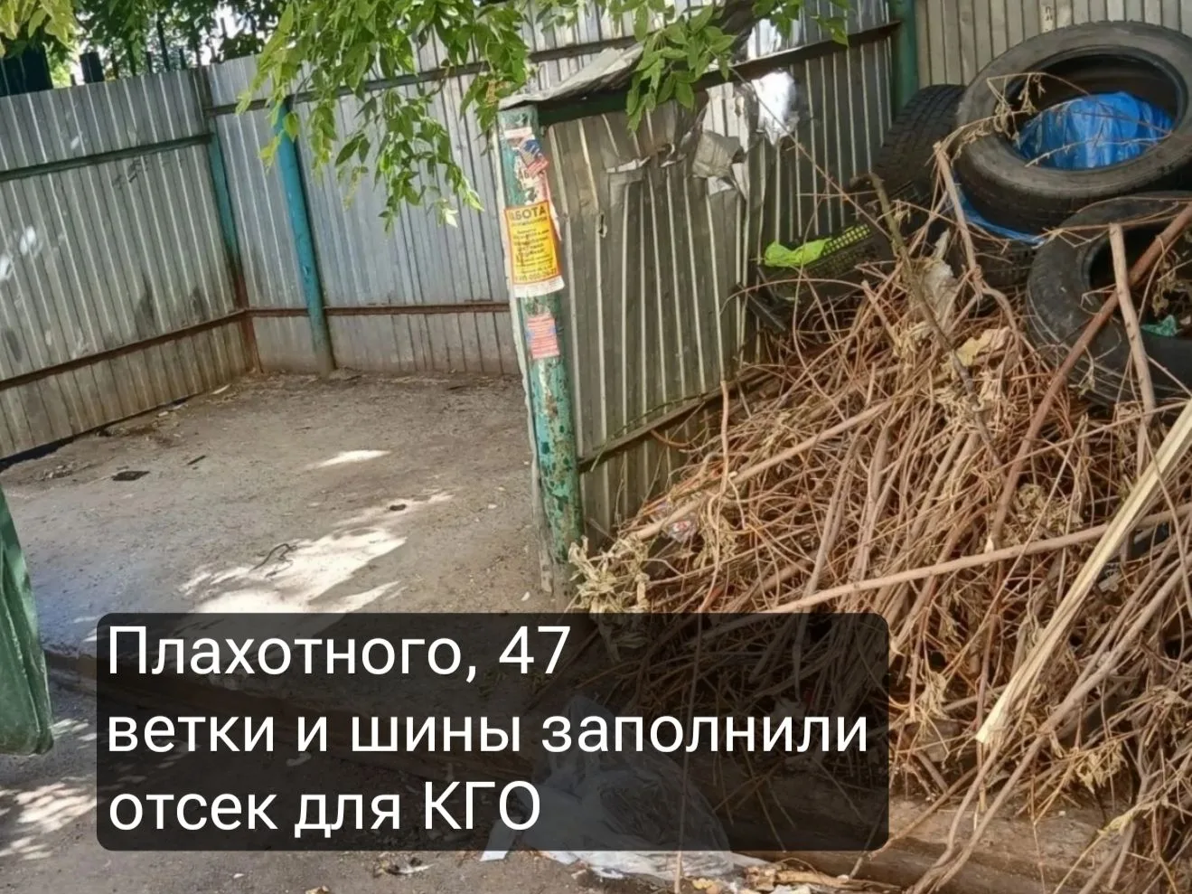 🌳❌Верховный суд подтвердил: веткам не место на контейнерных площадках