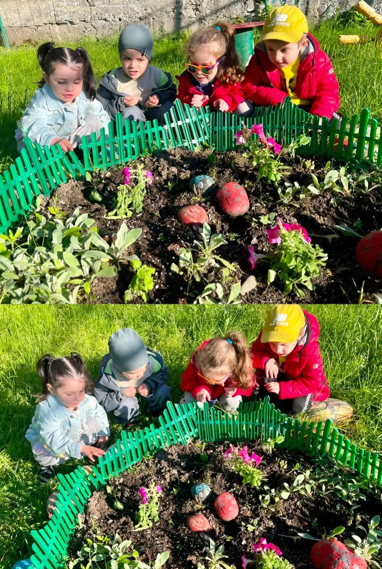 ✨Наблюдение за цветами на участке в средней группе «Б» направлено на знакомство малышей...