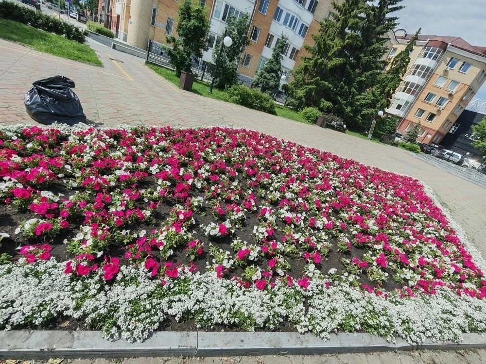 Цветы в городе — не просто украшение

В каменных джунглях именно продуманное цветочное оформление со