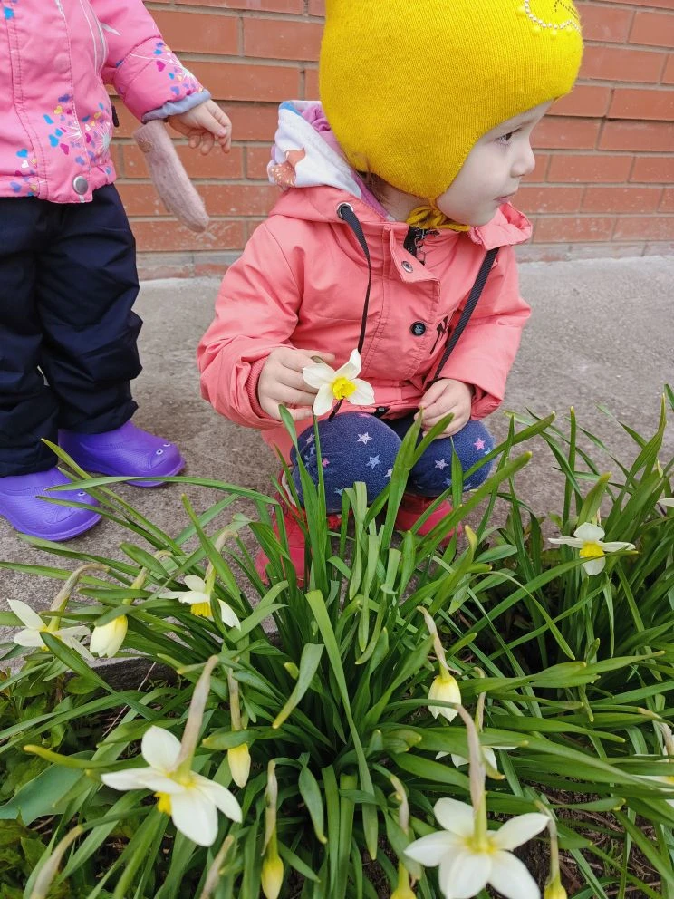 Первоцвет🌷🌱👶